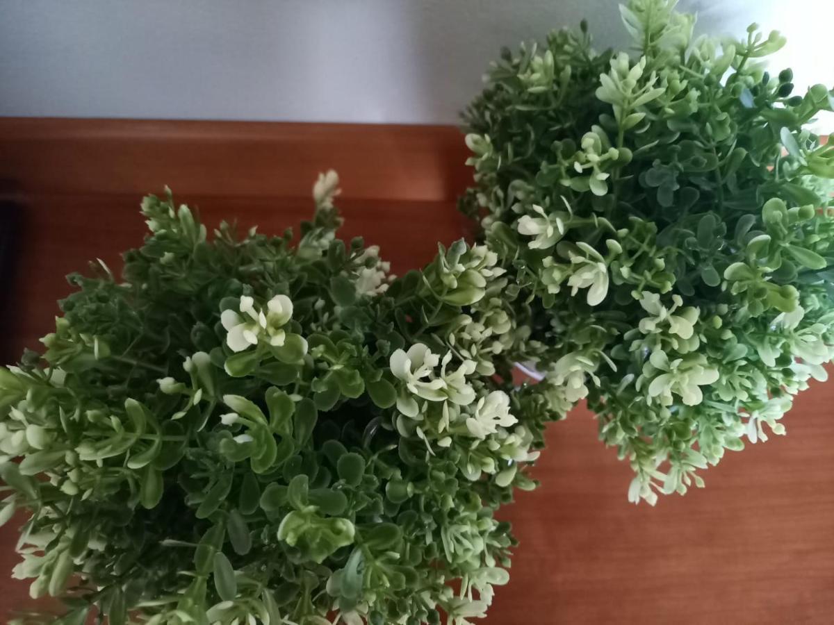 Presolana Home Castione della Presolana Dış mekan fotoğraf